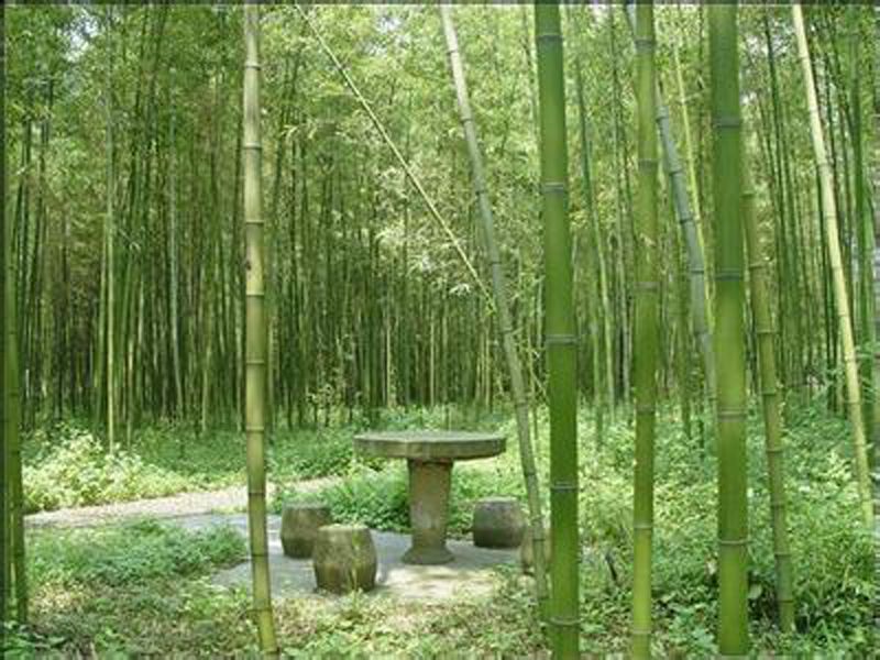 公(gong)園石桌