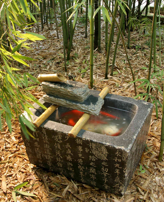 藝術(shù)魚缸(gang)