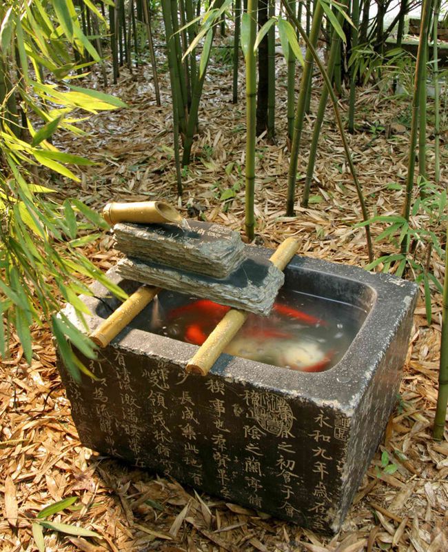 藝術(shù)魚缸(gang)